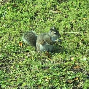 Meet your Posher, Natasha